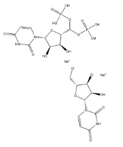 Uridine 5 '- Monophosphate CAS No.:58-97-9